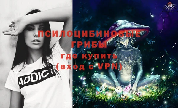 apvp Осинники