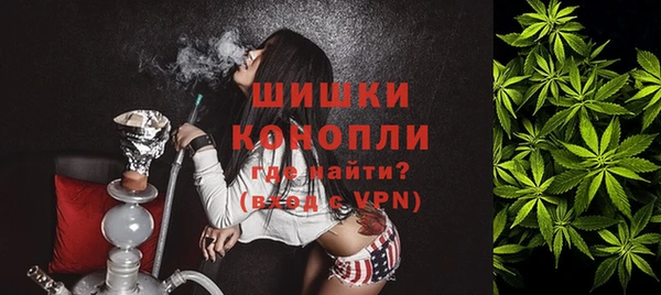 дурь Осташков