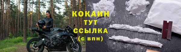 дурь Осташков