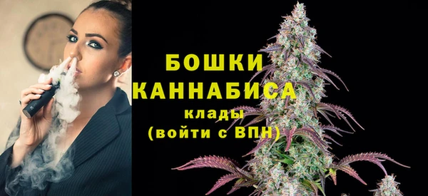 дурь Осташков